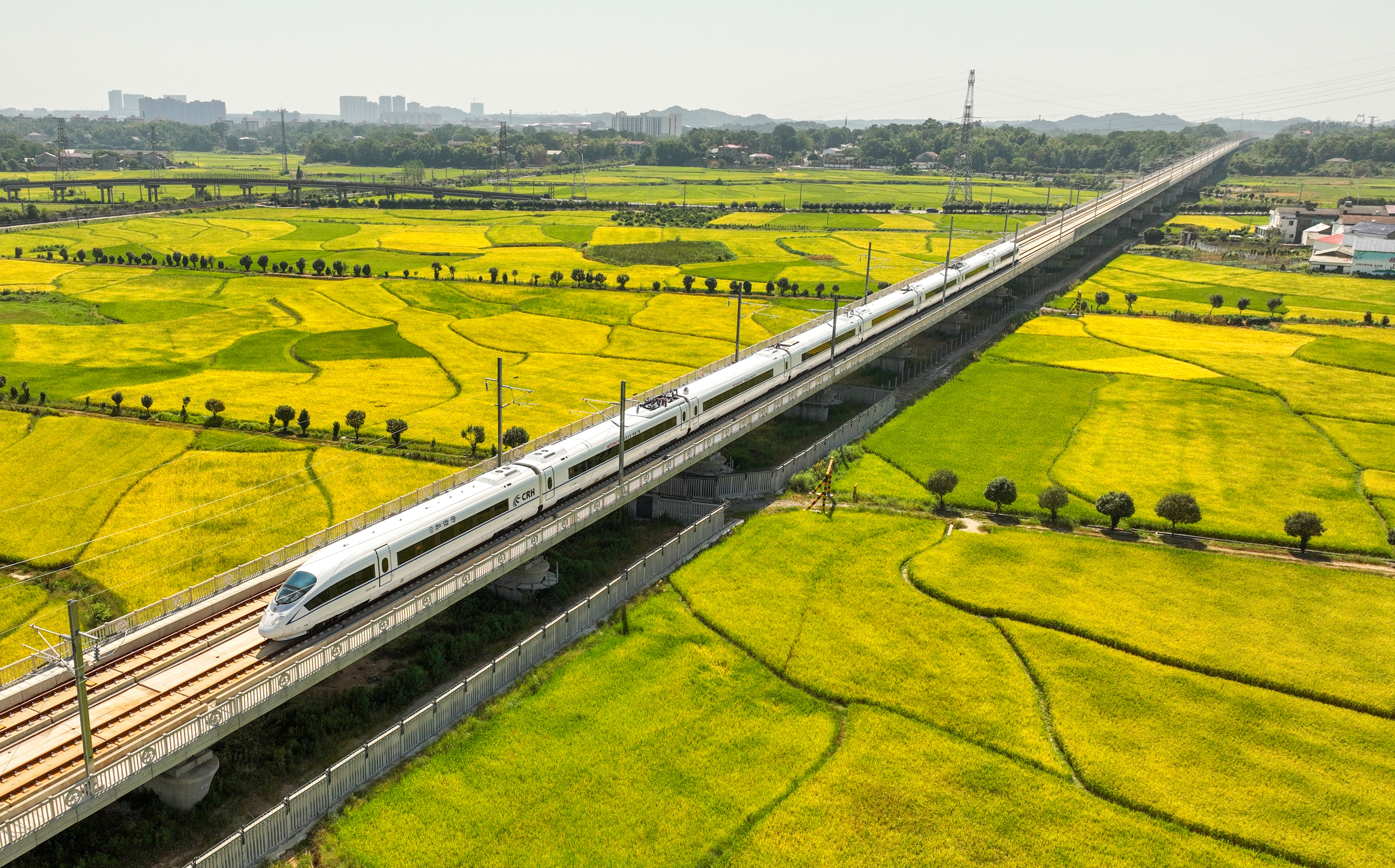 20240919913607.jpg 2022年9月4日,渝廈高鐵長沙到益陽段通車運營。湖南日報全媒體記者 郭立亮 攝 (2).jpg